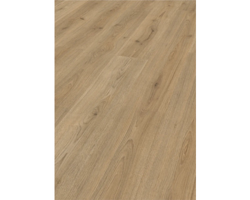 Handmuster Laminat 6.0 Trend Eiche Braun Basic