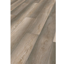 Handmuster Laminat 12.0 Gnarrenburg Eiche titan Robust