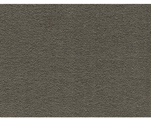 Teppichboden Shag Feliz taupe FB43 500 cm breit (Meterware)