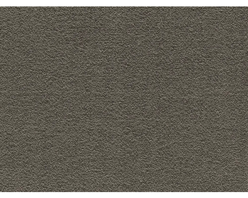 Teppichboden Shaggy Feliz dunkelbeige FB43 500 cm breit (Meterware) Teppichboden Shaggy Feliz dunkelbeige FB43 500 cm breit (Meterware)