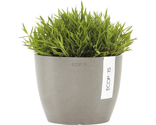 Grünes Ziergras in einem grauen Ecopots Pflanzgefäß.