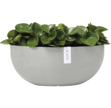 Blumentopf Ecopots Sofia Kunststoff Ø 39,3 cm 40,8 x 23,7 x 17,5 cm grau