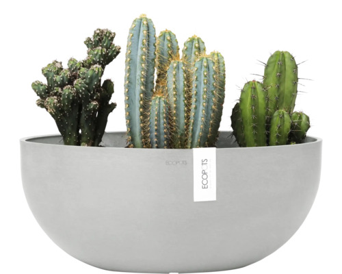 Verschiedene Kakteen in einer grauen Pflanzschale von Ecopots
