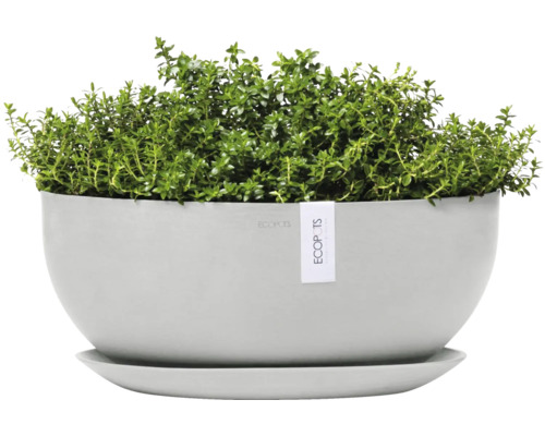 Kräutertopf mit grünen Kräutern in einem grauen Topf