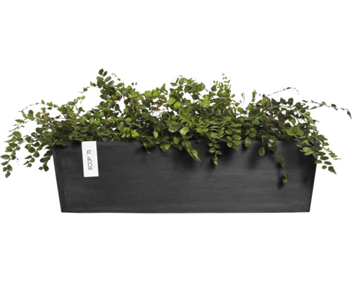 Schwarzer Pflanzkasten mit grünen Pflanzen