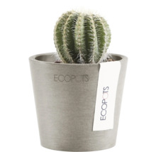 Blumentopf Ecopots Amsterdam Kunststoff Ø 6,8 cm 8 x 8 x 7 cm braun