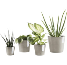 Blumentopf Ecopots Amsterdam Kunststoff Ø 6,8 cm 8 x 8 x 7 cm braun