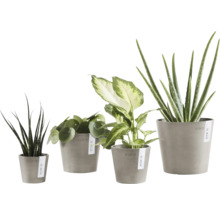 Blumentopf Ecopots Amsterdam Kunststoff Ø 12 cm 13 x 13 x 11,4 cm braun