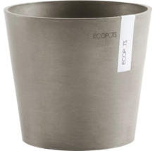 Ecopots Pflanztopf