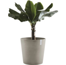 Blumentopf Ecopots Antwerp Mini Kunststoff Ø 46,7 cm 50 x 50 x 44,3 cm braun