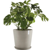 Blumentopf Ecopots Antwerp Mini Kunststoff Ø 46,7 cm 50 x 50 x 44,3 cm braun