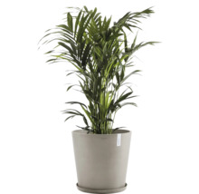 Blumentopf Ecopots Antwerp Mini Kunststoff Ø 46,7 cm 50 x 50 x 44,3 cm braun