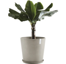Blumentopf Ecopots Antwerp Mini Kunststoff Ø 46,7 cm 50 x 50 x 44,3 cm braun
