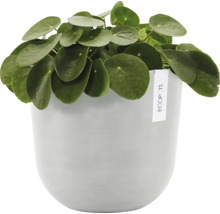 Blumentopf Ecopots Oslo Kunststoff Ø 23,1 cm 25 x 25 x 21,4 cm grauweiß