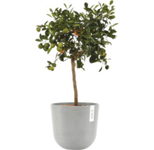 Blumentopf Ecopots Oslo Kunststoff Ø 23,1 cm 25 x 25 x 21,4 cm grauweiß