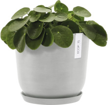Blumentopf Ecopots Oslo Kunststoff Ø 23,1 cm 25 x 25 x 21,4 cm grauweiß