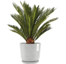 Blumentopf Ecopots Oslo Kunststoff Ø 23,1 cm 25 x 25 x 21,4 cm grauweiß