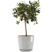 Blumentopf Ecopots Oslo Kunststoff Ø 23,1 cm 25 x 25 x 21,4 cm grauweiß
