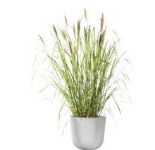 Blumentopf Ecopots Oslo Kunststoff Ø 23,1 cm 25 x 25 x 21,4 cm grauweiß