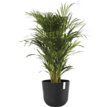 Blumentopf Ecopots Oslo Kunststoff Ø 32,9 cm 35 x 35 x 30,5 cm dunkelgrau
