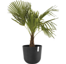 Blumentopf Ecopots Oslo Kunststoff Ø 32,9 cm 35 x 35 x 30,5 cm dunkelgrau