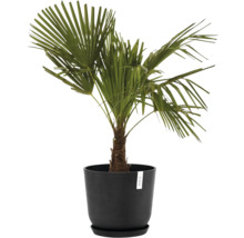 Blumentopf Ecopots Oslo Kunststoff Ø 32,9 cm 35 x 35 x 30,5 cm dunkelgrau