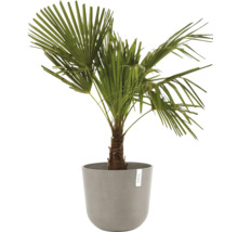 Blumentopf Ecopots Oslo Kunststoff Ø 32,9 cm 35 x 35 x 30,5 cm braun