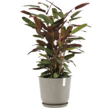Blumentopf Ecopots Oslo Kunststoff Ø 32,9 cm 35 x 35 x 30,5 cm braun