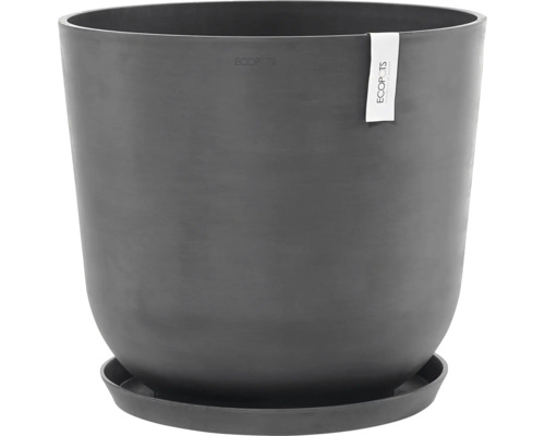 Blumentopf mit Untersetzer