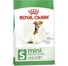 Hundefutter trocken, ROYAL CANIN Mini Mature 0,8 kg