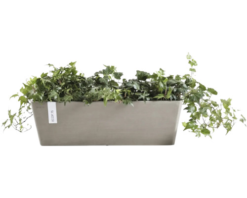 Rechteckiger Pflanzkasten mit Efeu
