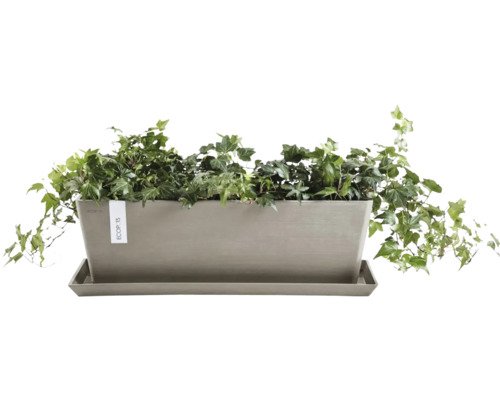 Rechteckiger Pflanzkasten mit Efeu