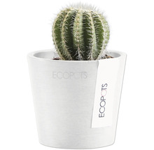 Blumentopf Ecopots Amsterdam Kunststoff Ø 6,8 cm 8 x 8 x 7 cm weiß
