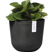 Blumentopf Ecopots Oslo Kunststoff Ø 14,5 cm 16 x 16 x 13,7 cm dunkelgrau