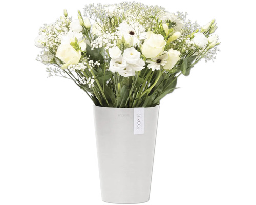 Weißer Blumenstrauß in einem Topf