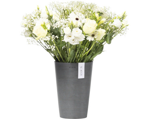 Weißer Blumenstrauß in einem Topf