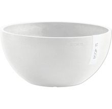 Ecopots Pflanzschale