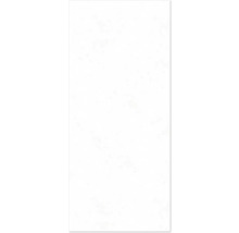 Duschrückwand BREUER Express Q72 Seidenmatt Stein 255 x 100 cm 1413542000203