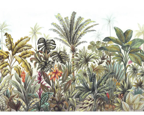 Illustration von tropischen Pflanzen und Bäumen