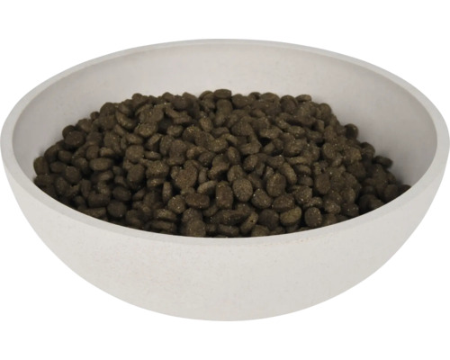 Hundenahrung in einer Schale