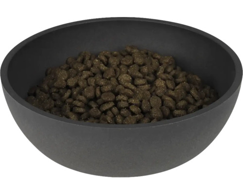 Napf gefüllt mit Hundetrockenfutter