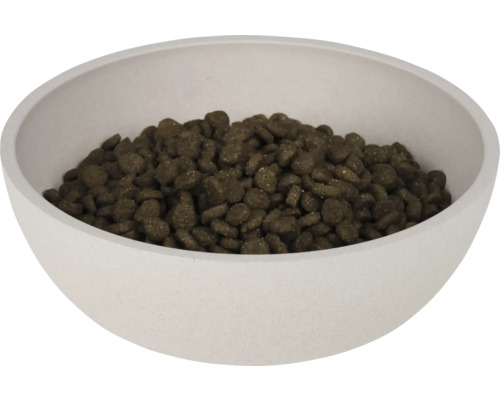 Napf mit Trockenfutter für Hunde oder Katzen