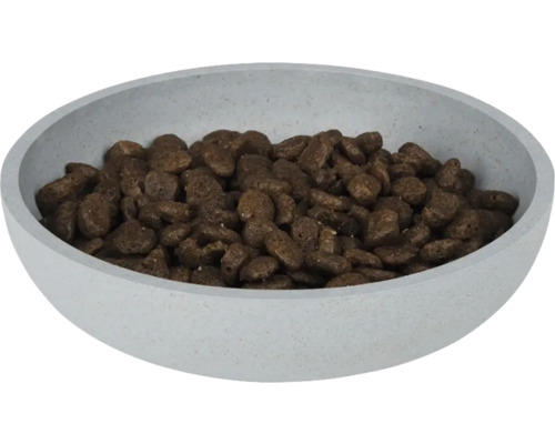 Futternapf gefüllt mit Trockenfutter