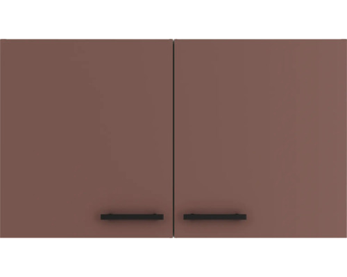 Hängeschrank mit zwei Türen und Griffen