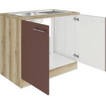 Küchenspülenschrank mit offener Tür und Spüle