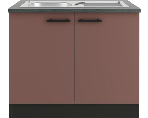 Spültischunterschrank mit Spüle und zwei Türen
