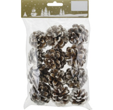 Packung mit Tannenzapfen für die Weihnachtsdekoration