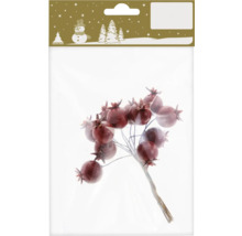 Dekorative Beerenzweige im Paket