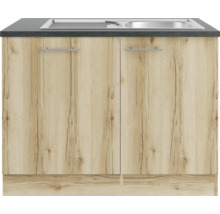 Spülenschrank mit zwei Türen und Spüle