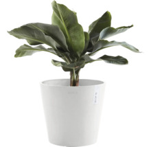 Blumentopf Ecopots Amsterdam Kunststoff Ø 27,3 cm 30 x 30 x 25,4 cm weiß